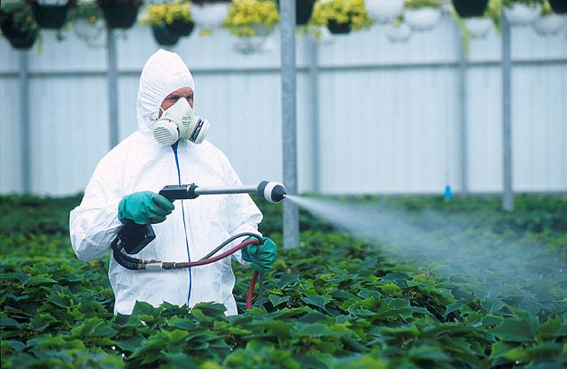 Nanopesticides: פתרון חדש או איום חדש? 