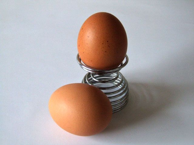 החסרונות של הדיאטה ביצה