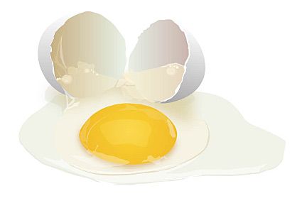 חלמון ביצה הוא מזיק לבריאות הלב כמו עישון