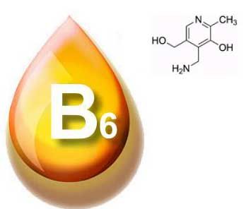 מידע בסיסי על ויטמין B6