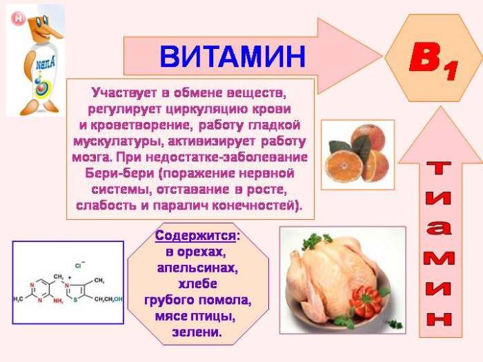 המאפיינים של ויטמין B1